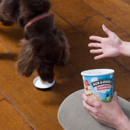 A pint of Ben & Jerry's Strawberry Cheesecake Ice Cream with a dog licking the lid