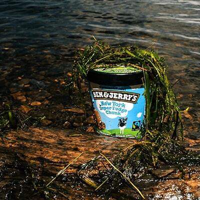 New York Super Chunk covered in seaweed
