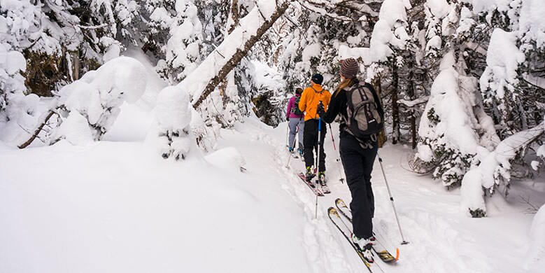 people cross country skiing at Catamount Trail - Ben & Jerry's