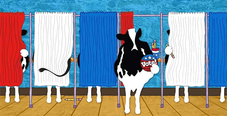 Ben & Jerry's cow at a red, white, and blue voting booth